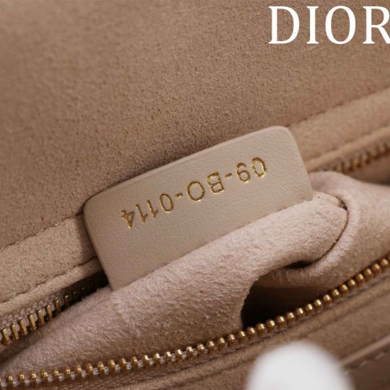 Medium Lady Dior Bag