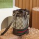 Ophidia mini bucket bag